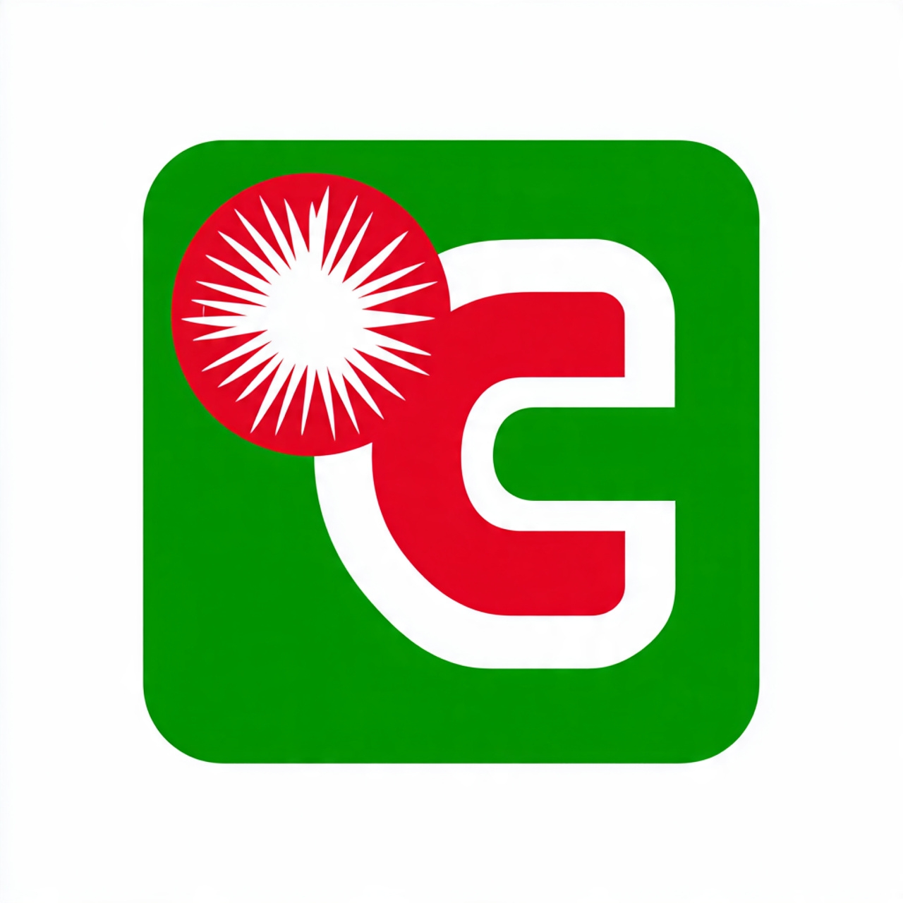 CER Foundation